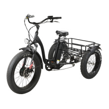48V 500W Adult Bike E Electric Tricycle with Disc Brake and LED Light